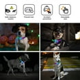 thumbnail image 3 of LED Dog Pet Collars Luminous Necklace Buckle IP68 Waterproof Rechargeable Flashing Dog Collar Pet Safety Collar (Yellow-ML), 3 of 7