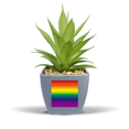 thumbnail image 1 of Gradient LGBT Pot de Fleurs Ananas Arc-en-Ciel Mini Décor, 1 of 3
