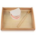 thumbnail image 4 of Cepillo de dientes modelo MEROCO Montessori Practical Life para niños, 4 of 8