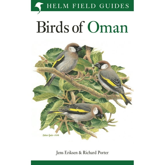 Helm Field Guides: Field Guide to the Birds of Oman (Paperback)