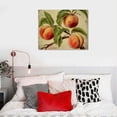 thumbnail image 5 of Apples Pears Plums Peaches Framed Canvas Prints, Fruit Wall Art for The Kitchen,Dining Room Vintage Abstract Printed Paintings, Fruit Artwork Wall Decor, Home Poster Decals, 5 of 5