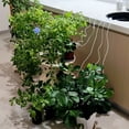 thumbnail image 4 of Boreal Craft Garden Watering Artifact Automatic Watering Device Home Balcony Flower Pot Vegetable Irrigation Device Lazy Dripper Programmable Water Timer Sprinkler for Small Yard Watering Sprinkler, 4 of 7