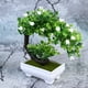 thumbnail image 5 of 2 piezas plantas artificiales decoración de árboles para el hogar plantas falsas adornos de plantas de plástico (amarillo, blanco), 5 of 6