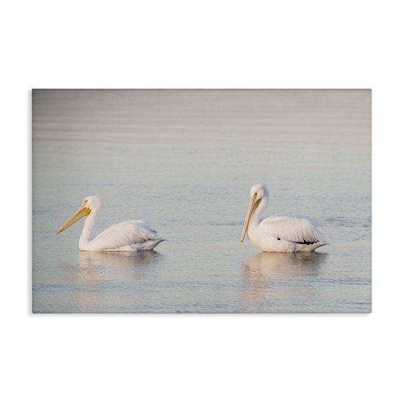 Stupell Industries Coastal Pelicans on Calm Waters Canvas Art, 24 x 16, by Danita Delimont