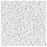 Usg Interiors 2x2 Alpine Ceiling Tile 16 Pack