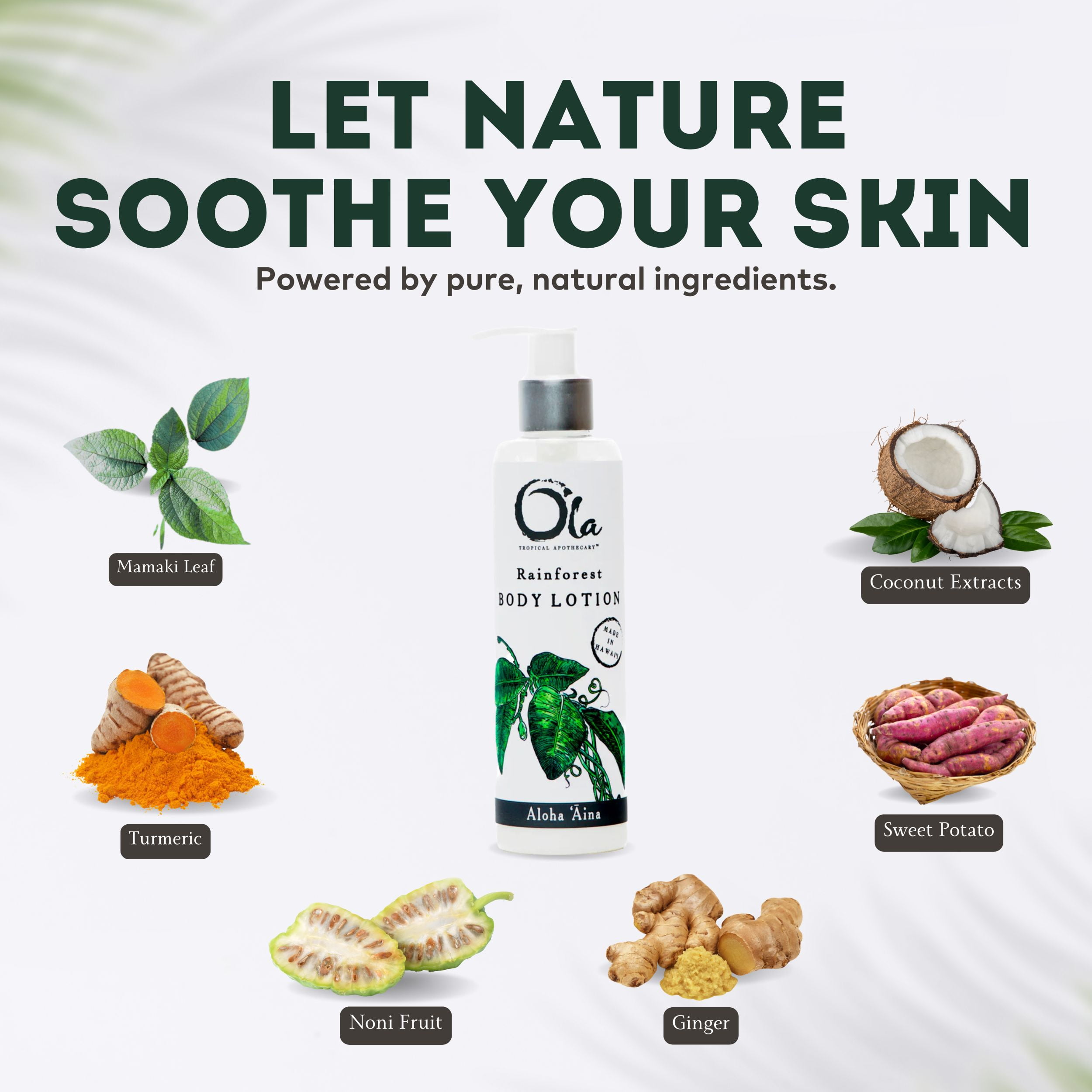 Ola Tropical Apothecary Rainforest Body Lotion with Pure Tropical Oils and Plant Extracts - 8.45 Fl Oz