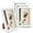 White, variant on Kromapolis 4x6 Picture Frame Set of 4, Photo Frame with HD Plexiglass, Display 4x6 Pictures, Gallery Wall Picture Frames for Wall and Tabletop Decoration, Black