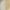 Yellow, variant on (2 pack) Better Homes & Gardens Sage Hayes Stoneware Dinner Plate