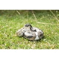 thumbnail image 2 of Hi-Line Gifts 7.75" Regius Python Outdoor Garden Statue, 2 of 5