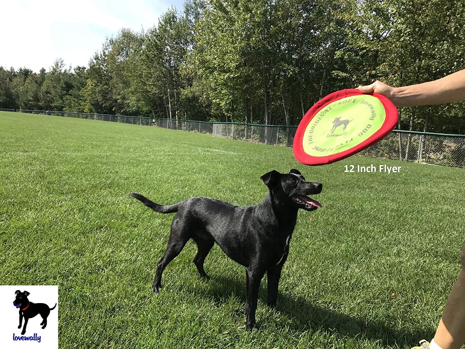 soft bite floppy disc dog toy