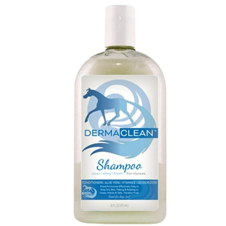 DERMA CLEAN SHAMPOO PT HSD16