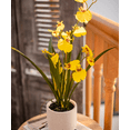 thumbnail image 5 of Potted Faux Dancing Lady Orchid, 5 of 10
