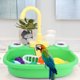 thumbnail image 4 of YSNOOWE 1Jgo Parrot Bath Basin Para Mascotas Con Fino Y Material Resistente Uso Interior Y Exterior, 4 of 6