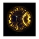 thumbnail image 3 of Casio G-Shock GMA Analog Digital Quartz GMA-S120GS-8A GMAS120GS-8 200M Women's Watch, 3 of 5