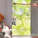thumbnail image 3 of 2PCS Halloween Dog Toy New Model Funny Dog Stick Pumpkin Ghost Feather, 3 of 5