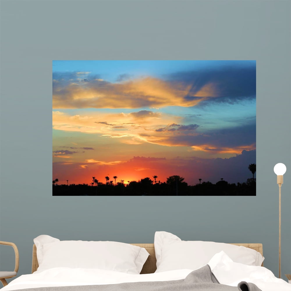 Arizona Sunrise 2 Wall Mural by Wallmonkeys Peel and Stick Graphic (48