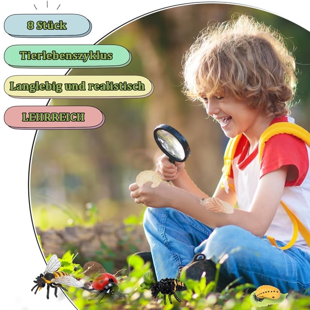 Juguete de ciclo de vida, 8 piezas de plástico, modelo de ciclo de vida de abeja, mariquita, ciclo de vida de animal, modelo de ciclo de crecimiento de vida para niños, proyecto científico