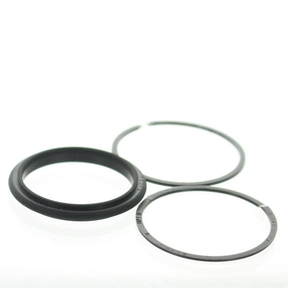 Johnson Evinrude OMC New OEM T-Ring Set, 0122496