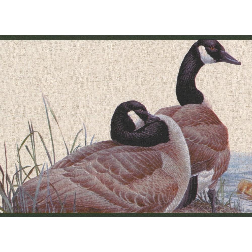 Wallpaper Border - Duck Duckling on the Lake Shore Vintage Wall Border