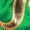 Green, variant on inhzoy Kids Boys Muay Thai Shorts Metallic Letter Side Slit Boxing Short Mma Martial Arts Kickboxing Trunks Black XS