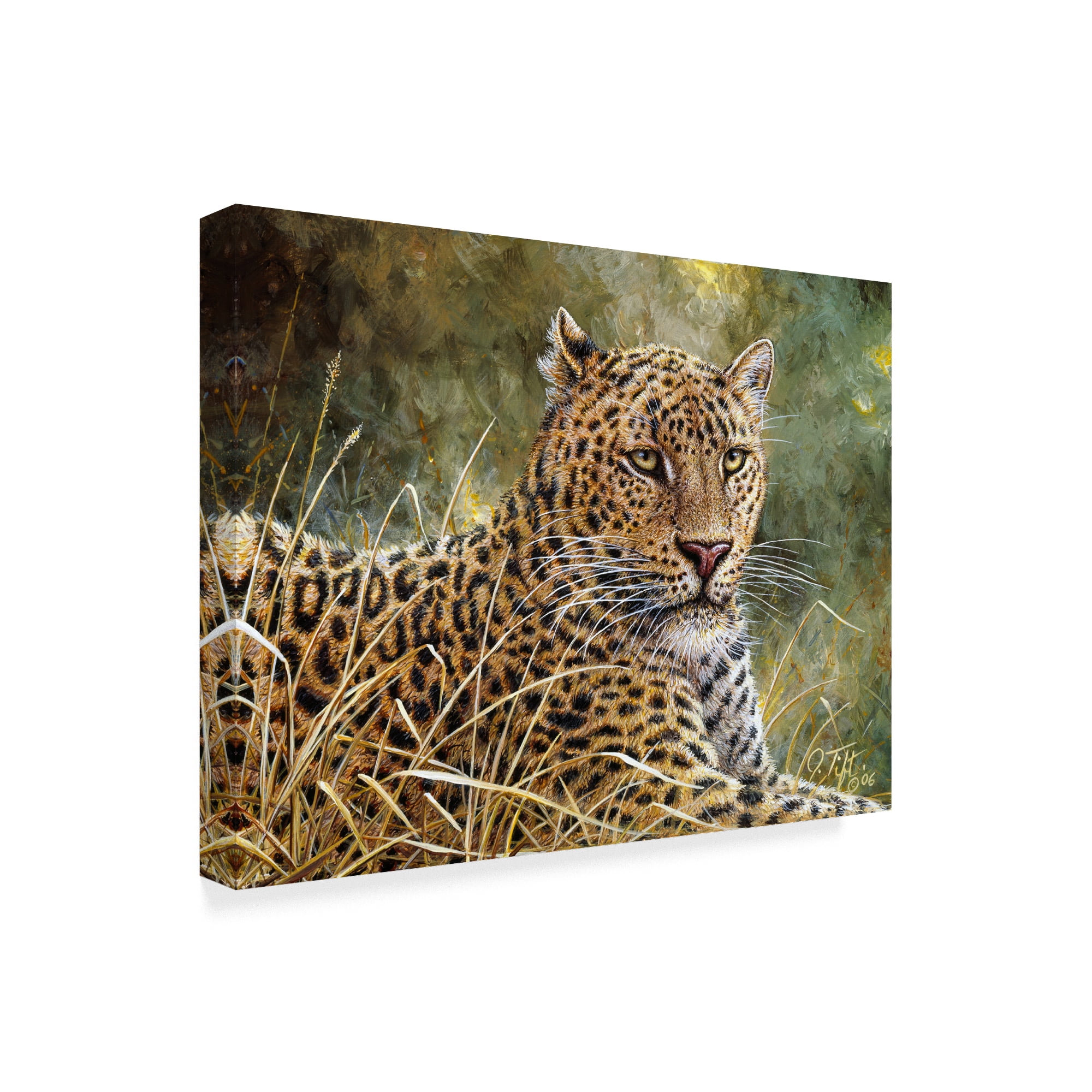 Trademark Fine Art 'Leopard Portrait' Canvas Art by Jeff Tift