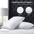 Bed Pillows for Sleeping 2 Pack Down Alternative Pillows Standard Size Set of 2 Soft Hotel