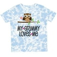 thumbnail image 3 of Inktastic Grammy Loves Me Grandchild Owl Girls Toddler T-Shirt, 3 of 5