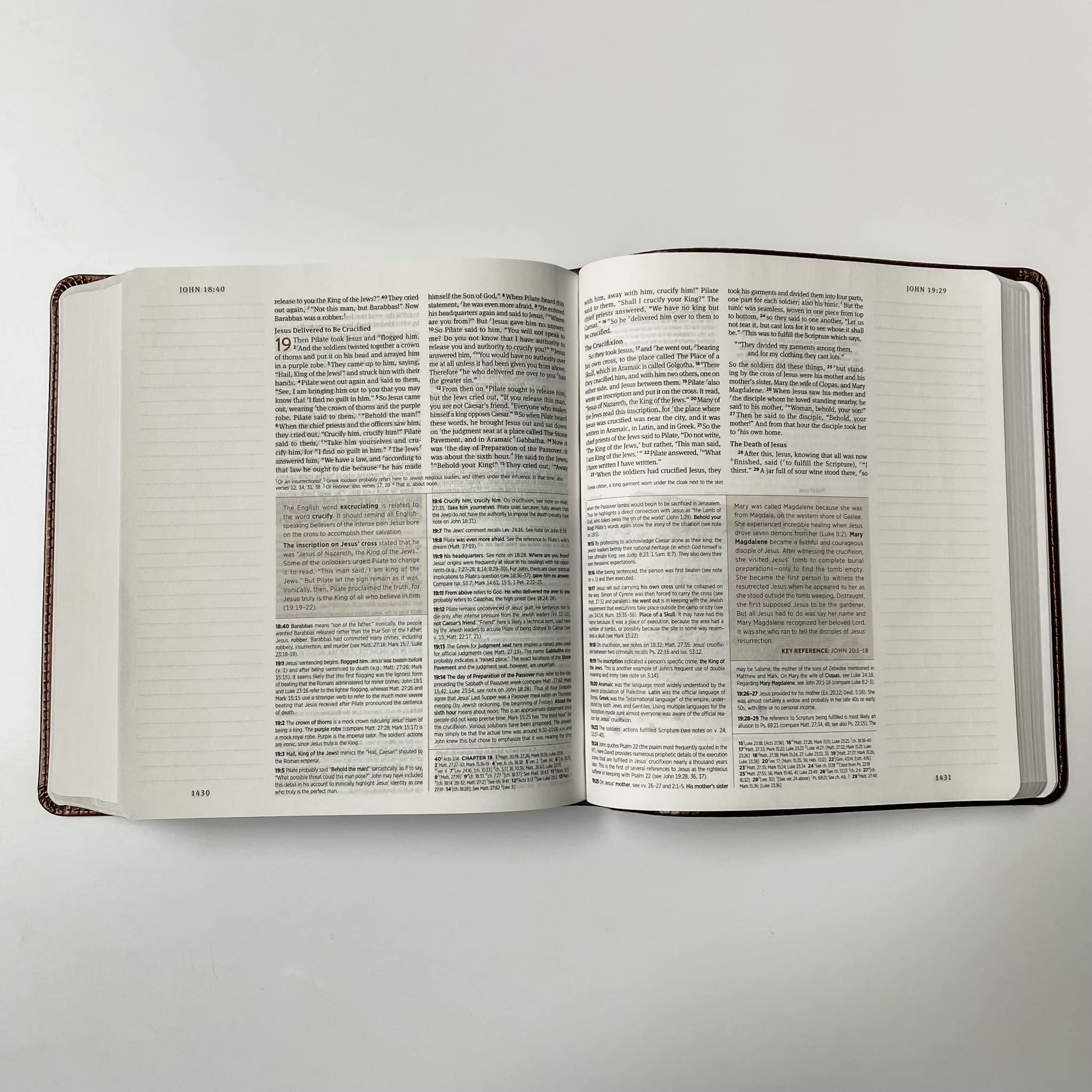 ESV Journaling Study Bible (Trutone, Brown/Chestnut, Timeless Design), (Hardcover)