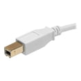 thumbnail image 3 of Monoprice - USB cable - USB (M) to USB Type B (M) - USB 2.0 - 3 ft - booted, molded - white, 3 of 3