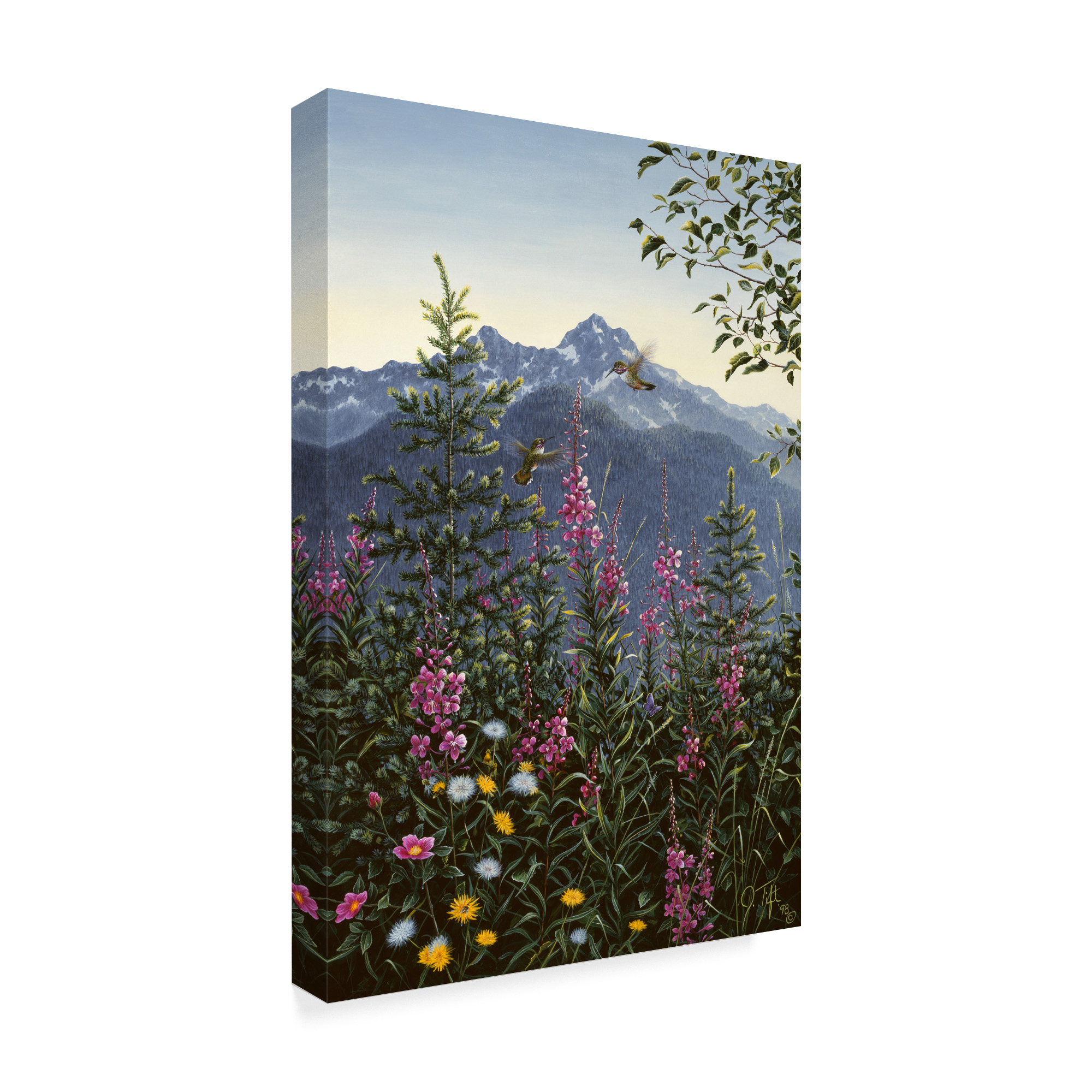 Trademark Fine Art 'Hummingbirds' Canvas Art by Jeff Tift