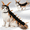Gold-AA1, variant on Cat Centipede Costume Funny Halloween Outfit,Plush Caterpillar Pet Costume with 4 Point Adjustable Fit,50 Inch Long Design for Small Medium Large Cats