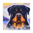 thumbnail image 4 of "Rottweiler's Regal Gaze" - Canvas, 4 of 25
