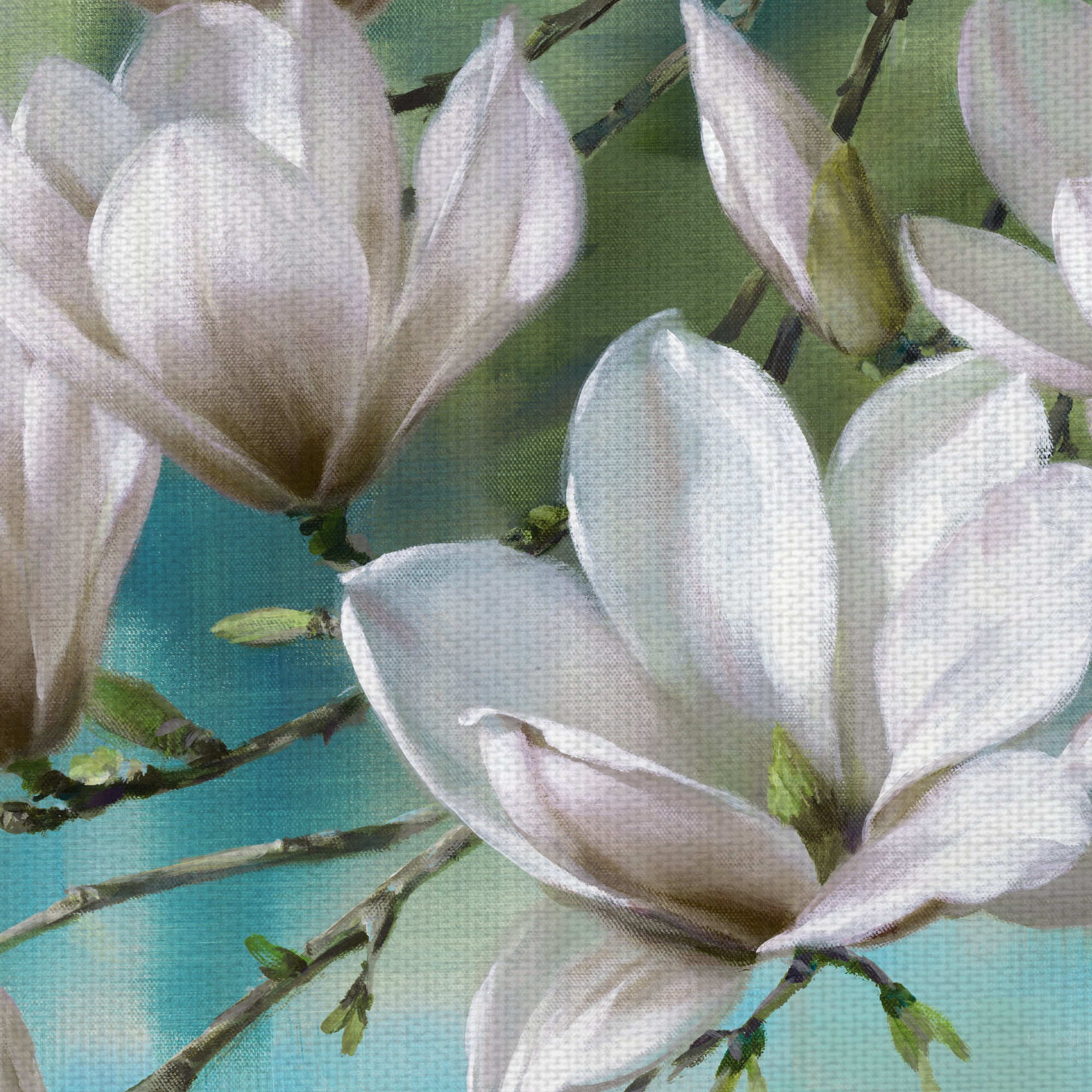 Masterpiece Art Gallery Magnolia Morning Teal By Roger Daniels Canvas Art Print 24" x 36"