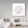thumbnail image 3 of Trademark Fine Art 'Leafy Abstract Circle II Blush Gray' Canvas Art by Danhui Nai, 3 of 3