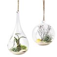 thumbnail image 2 of 2PCS Glass Planter Decorative Hanging Glass Vase Glass Flower Vase for Home, 2 of 9