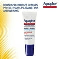 Aquaphor Lip Repair & Protect SPF 30 Dual Pack, 2 0.35 Ounce Tubes