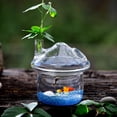 thumbnail image 5 of Mushroom-shaped Hanging Glass Planter Vase Rumble Fish Tank Terrarium Container Home Garden Decor, 5 of 8