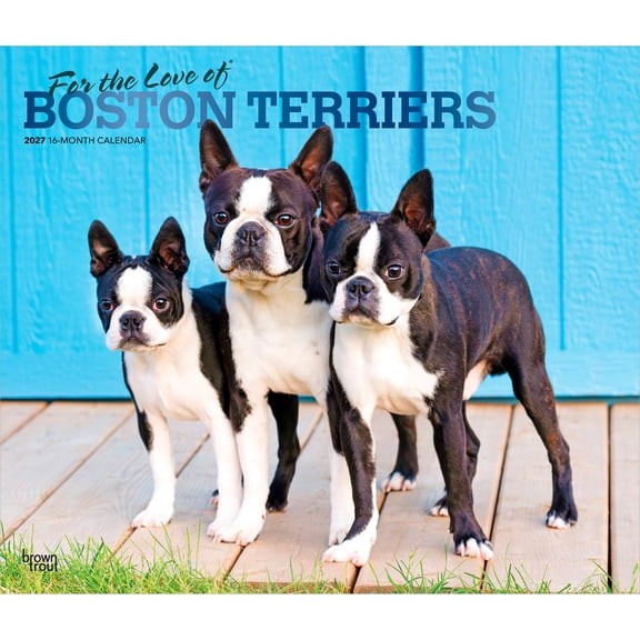 For the Love of Boston Terriers 2027 14x24" (Hanging) Wall Calendar | Plastic-Free