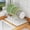 Style 1, variant on Over The Sink Dish Drying Rack, Collapsible 3 Tier Dish Racks for Kitchen Counter, Large Capacity Stainless Steel Dish Drainer with Utensil Holder and Drainboard (Upgraded)