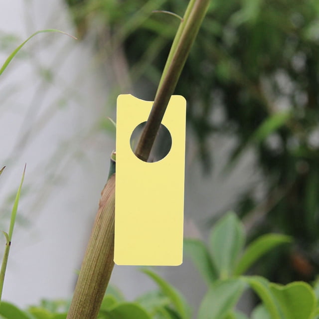 Marcador de plantas, 350 piezas Etiqueta de planta de fruta Accesorios de jardín Etiqueta de planta Meticulosamente diseñada
