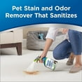 Woolite Advanced Pet Stain & Odor Remover + Sanitize, 22 oz., 11521