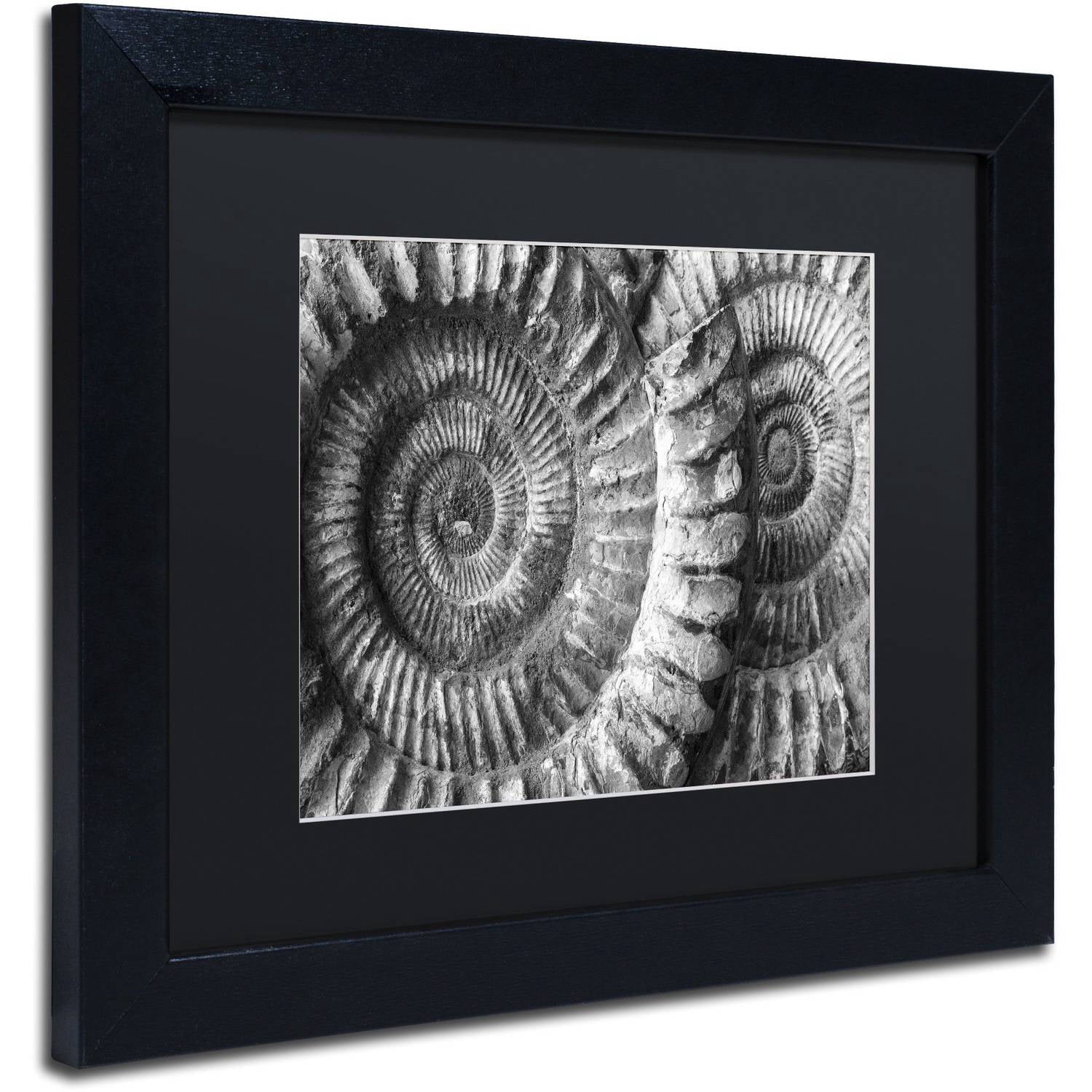Moises Levy 'Amonita 3' Black Matted Framed Art