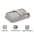 thumbnail image 2 of Madison Park Polyester Microfiber 3M Scotchgard Solid Blanket in Gray, 2 of 7