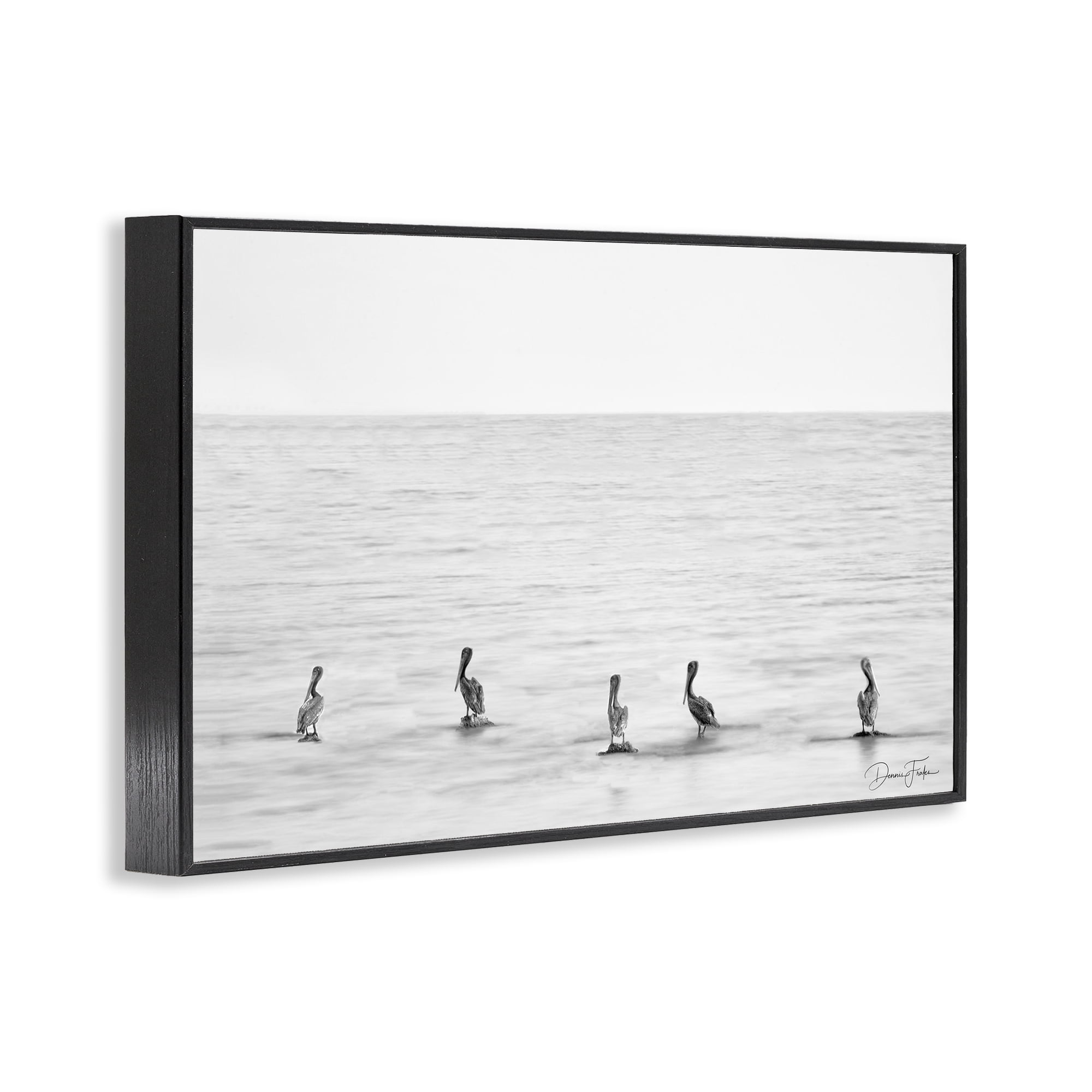 Stupell Industries Pelicans on Shore Landscape Photography Black Framed Art Print Wall Art, 18 x 12