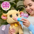 thumbnail image 5 of FurReal Maggie The Feed & Follow Cow, 11 Inch Interactive Highland Mini Cow, for Boys and Girls, Ages 4 and up, 5 of 8