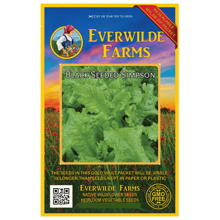 Everwilde Farms - 1000 Black Seeded Simpson Leaf Lettuce Seeds - Gold Vault Jumbo Bulk Seed Packet