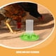 thumbnail image 4 of 2 juegos de comedero y bebedero para pollitos, gran capacidad, para codornices, dispensador de alimento para aves, botella, herramienta para alimentar pollos, codornices y pollitos., 4 of 8