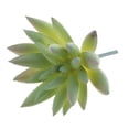thumbnail image 3 of 10 x Succulenta Artificial Decoración de Hogar Jardín Oficina Materiales de Bricoje DIY de Plástico Baoblaze Planta Succulenta Artificial, 3 of 6