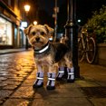thumbnail image 6 of 4PCS Breathable Dog Shoes Waterproof Non Slide Night Suitable for Small Medium and Large Dogs Boots for Daily Walking, 6 of 6