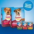 Kibbles 'N Bits Small Breed, Mini Bits, Savory Beef and Chicken Flavor